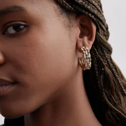Hot Clinton Hoops In Earrings